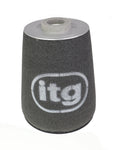 ITG ProFilter Air Filter for Audi RS6 Avant & RS7 Sportback (C7)